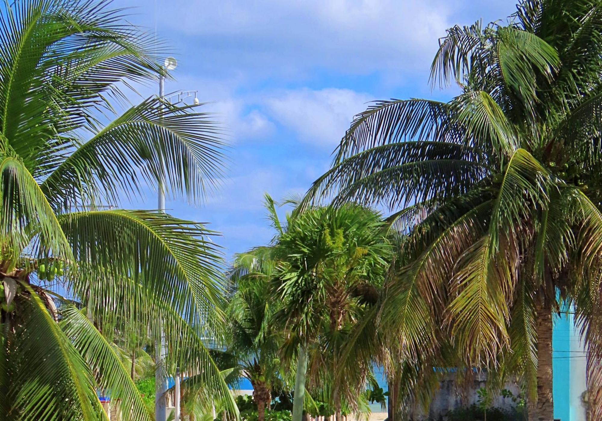 Studio Norte, Casa Brisamar Puerto Morelos Εξωτερικό φωτογραφία