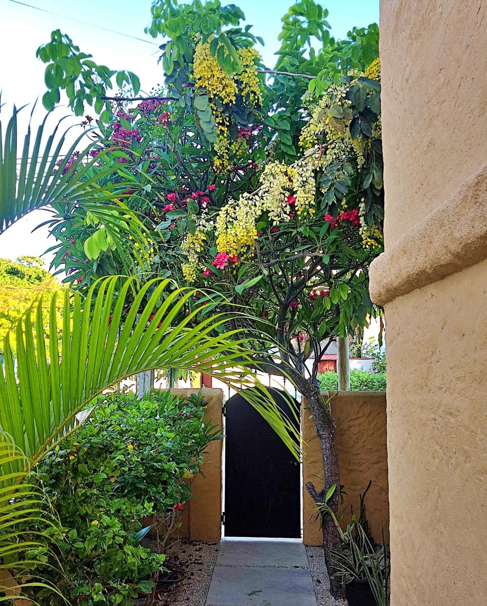 Studio Norte, Casa Brisamar Puerto Morelos Εξωτερικό φωτογραφία